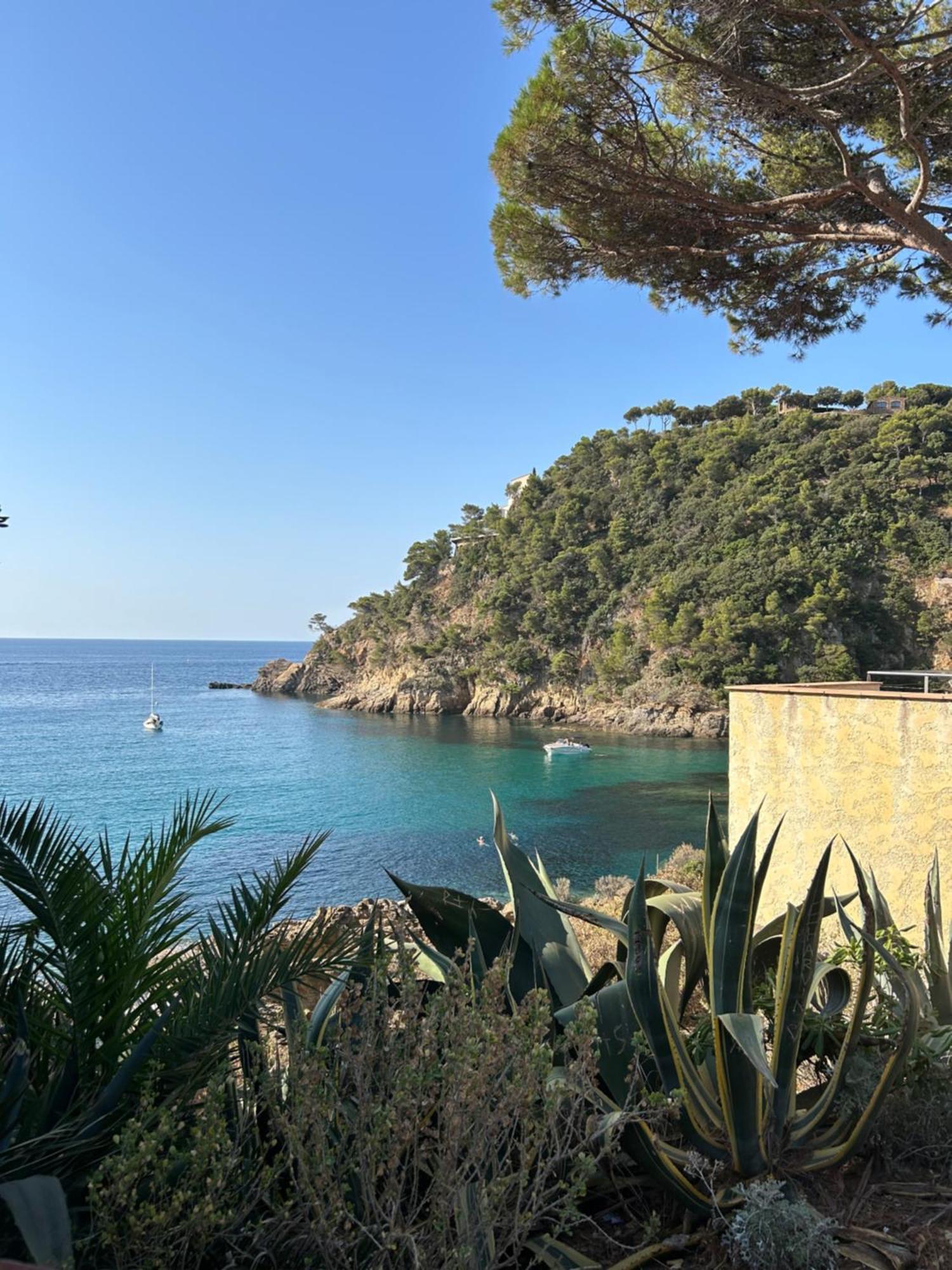 La Calypso Apartment Cavalaire-sur-Mer Bagian luar foto